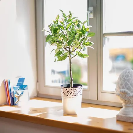 Landgut Mosch * Radeburg