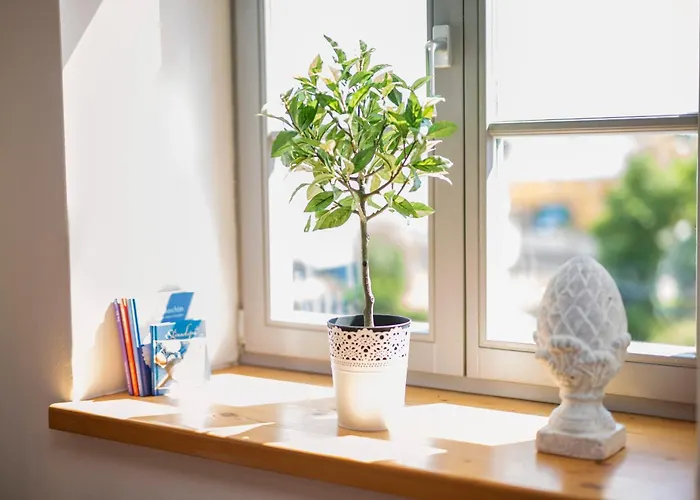 Landgut Mosch * Radeburg